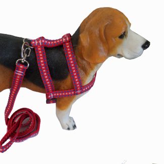 G36 - CONJUNTO PEITORAL STILO COCKER – FITA DUPLA