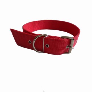 CL21 - COLEIRA NYLON