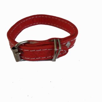 CL2 - COLEIRA COURO FORRADA
