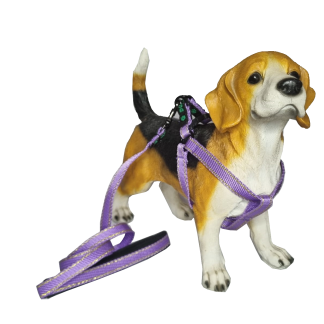 LG1- CONJUNTO PEITORAL GOLD DU-CÃO