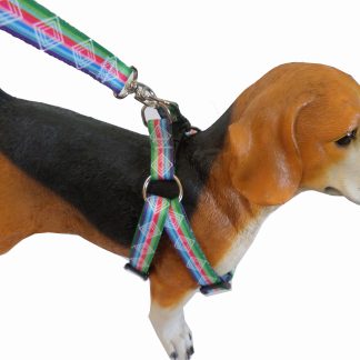 G25 - CONJUNTO PEITORAL ARANHA SEDA IMPORTADO 15MM