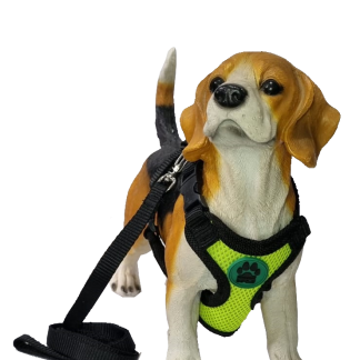 G40 - CONJUNTO PEITORAL NEOPRENE